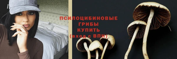 таблы Снежинск