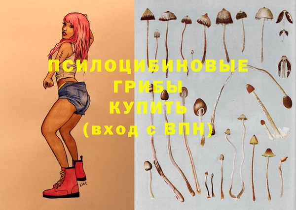 прущие крисы Мегион