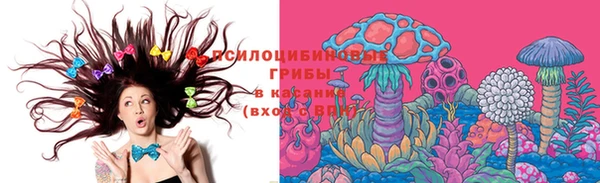 прущие крисы Мегион