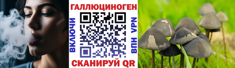 Псилоцибиновые грибы ЛСД  Туринск 